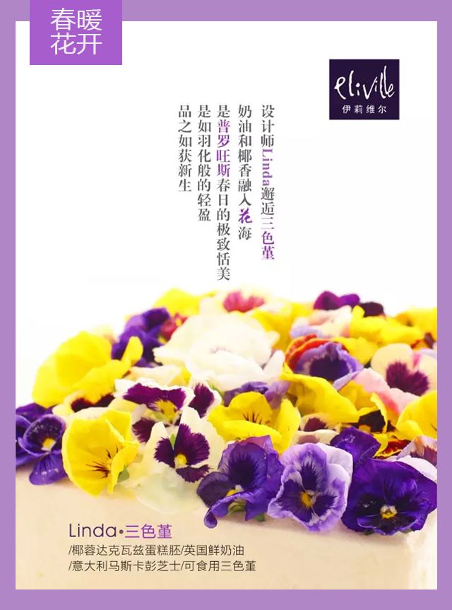 王中王339期指一生肖——探尋背后的秘密與玄機，探尋王中王339期生肖背后的秘密與玄機