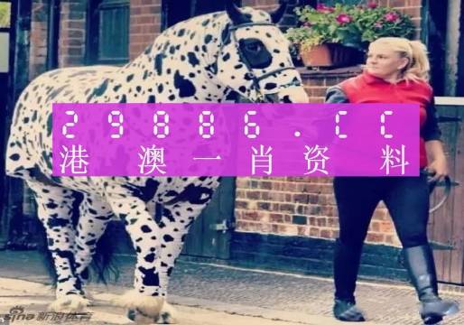 澳門王中王，揭秘一肖中特資料背后的秘密，澳門王中王揭秘，一肖中特資料背后的秘密傳奇