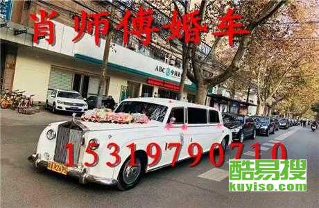 王中王車奪平特一肖免費(fèi)——深度解析與探索，王中王車奪平特一肖，深度解析與免費(fèi)探索