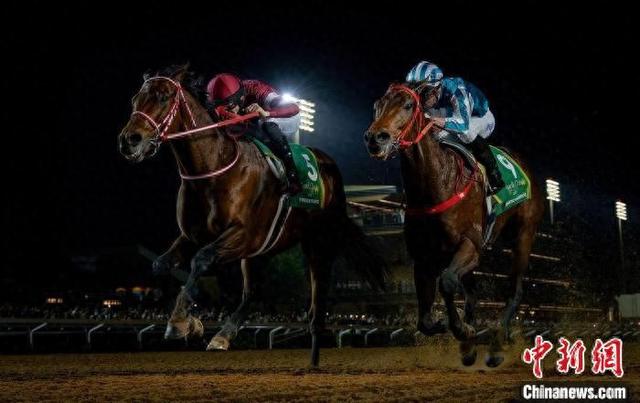香港王中王一肖中特馬，探索背后的奧秘，香港王中王一肖中特馬背后的奧秘探索