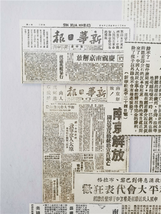 探索最新跑狗圖2025高清圖片，最新資訊與獨特魅力，最新跑狗圖2025高清圖片揭秘，資訊魅力一網(wǎng)打盡！