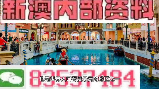 澳門王中王六碼新澳門，探索與解析，澳門王中王六碼新澳門，深度探索與解析