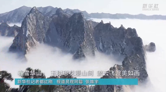 澳門最精準龍門，探索真正的精準之道，澳門最精準龍門，揭秘真正的精準之道