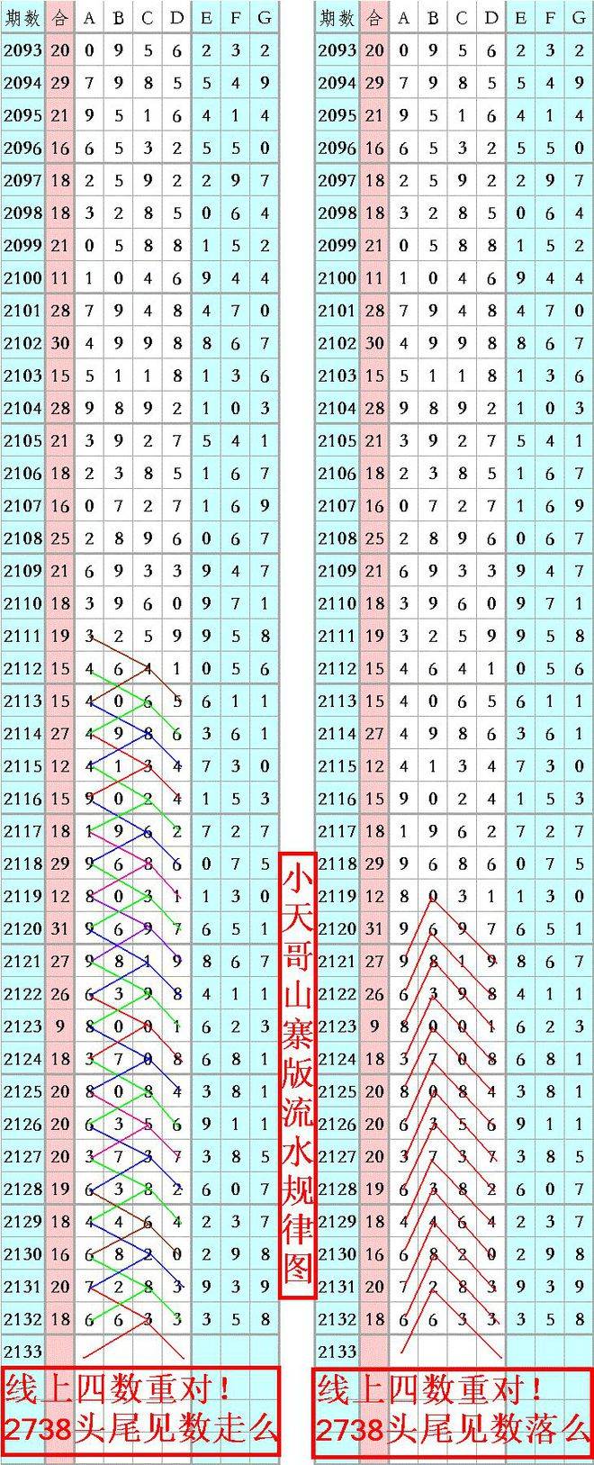 王中王資料一肖正特馬，深度解析與探索，王中王資料一肖正特馬深度解析與探索揭秘