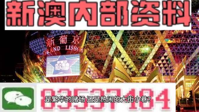 新澳門精準(zhǔn)資料大全與管家婆料，探索SEO的奧秘，探索SEO奧秘，新澳門精準(zhǔn)資料大全與管家婆料的秘密解析