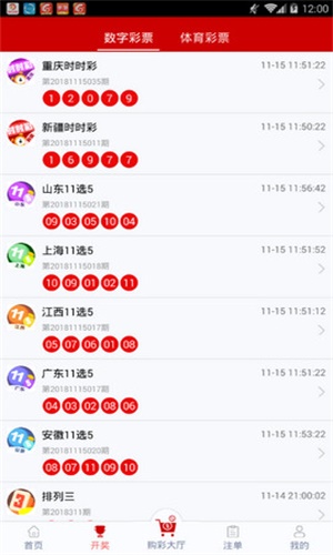 一碼一肖，揭秘背后的秘密與探索其獨(dú)特魅力，揭秘一碼一肖背后的秘密與獨(dú)特魅力探索