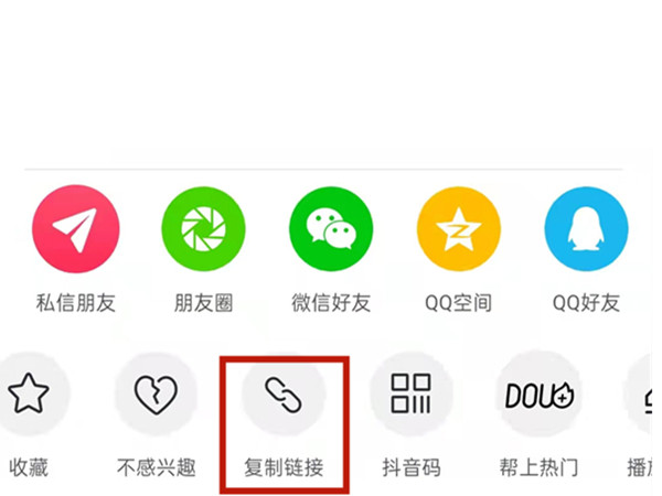 白小姐王中王中特一肖，神秘傳奇與SEO探索，神秘傳奇與SEO探索，白小姐王中王中特一肖的奧秘