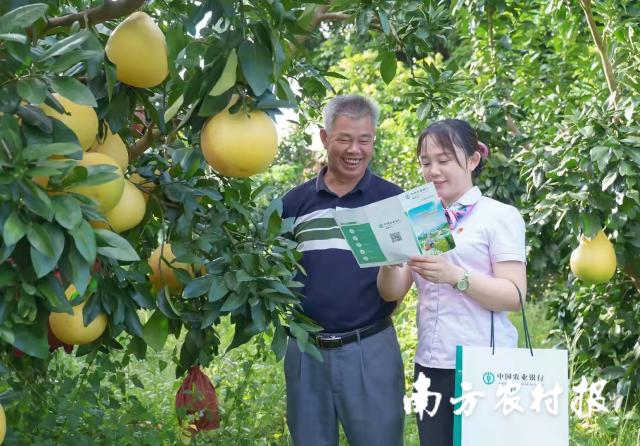 資料大全正版資料2025，一站式獲取所有你需要的信息，資料大全正版資料2025，一站式獲取所有信息總匯