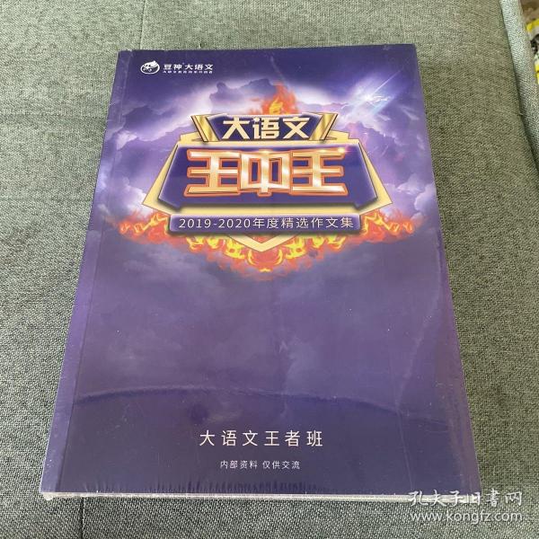 王中王資料2019一肖，揭秘生肖運勢與特性，揭秘生肖運勢與特性，王中王資料2019一肖解析