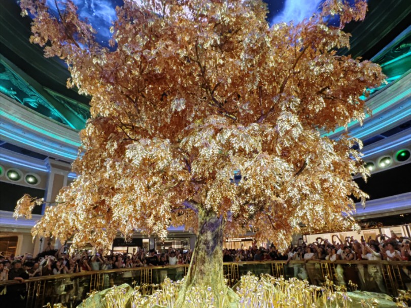 澳門搖錢樹開獎最快——探索彩票世界的神秘魅力，澳門搖錢樹彩票開獎揭秘，探索神秘彩票世界的魅力