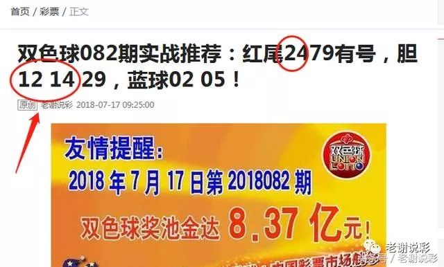 王中王082期指一生肖——探尋生肖魅力，洞悉運勢奧秘，探尋生肖魅力，揭秘運勢奧秘——王中王生肖運勢解析 082期