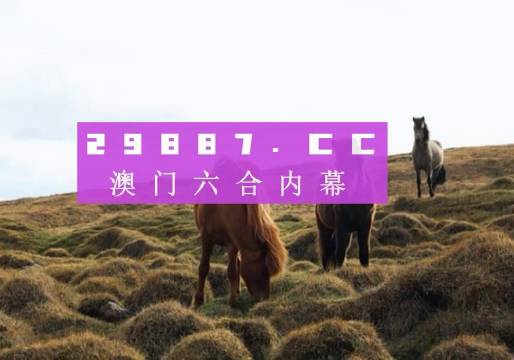 澳門六開獎結果2023開獎記錄查詢網(wǎng)站——全面解析與最新資訊，澳門六開獎結果最新解析與資訊，全面查詢2023年開獎記錄