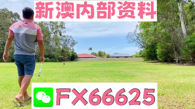 王中王一碼二肖，揭秘背后的秘密，揭秘王中王一碼二肖背后的秘密