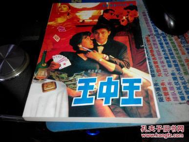 王中王資料一肖中特小說，深度解析與探索，王中王資料一肖中特小說的深度解析與探索之旅