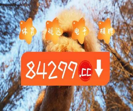 澳門天天開彩好正版掛牌第168期，探索彩票的魅力與策略，澳門彩票探索，魅力與策略揭秘 第168期正版掛牌開彩體驗