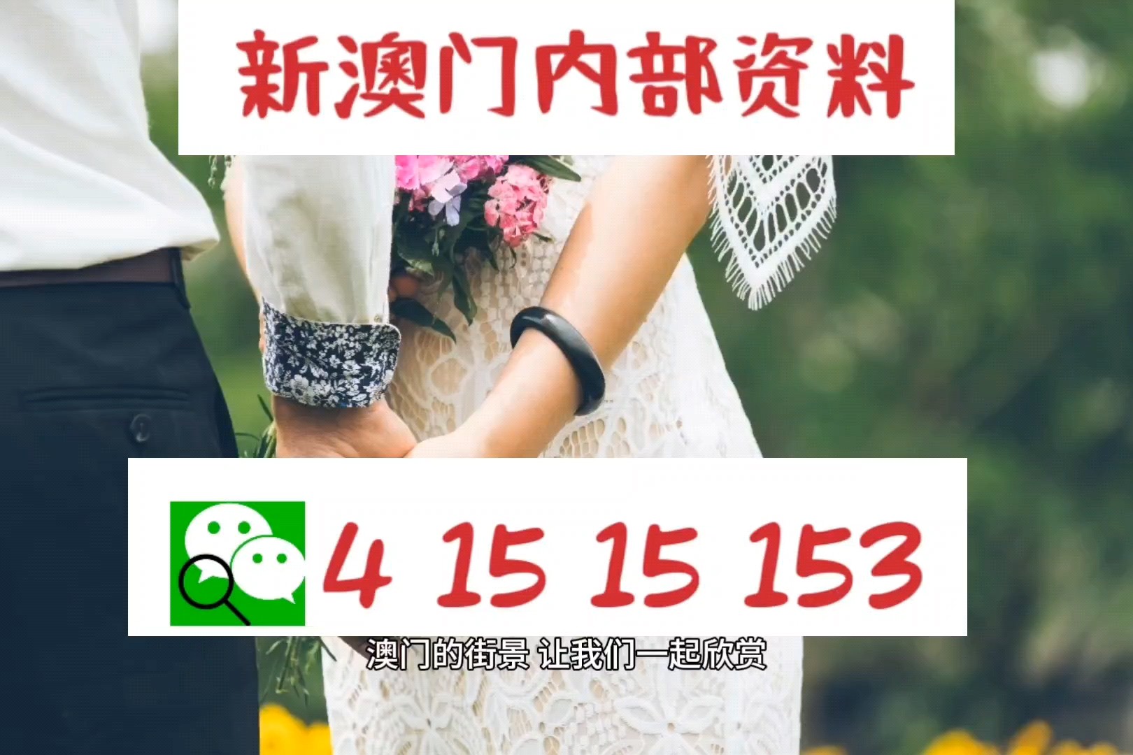 新澳精準資料，深度解析與探索，新澳精準資料深度解析與探索之旅