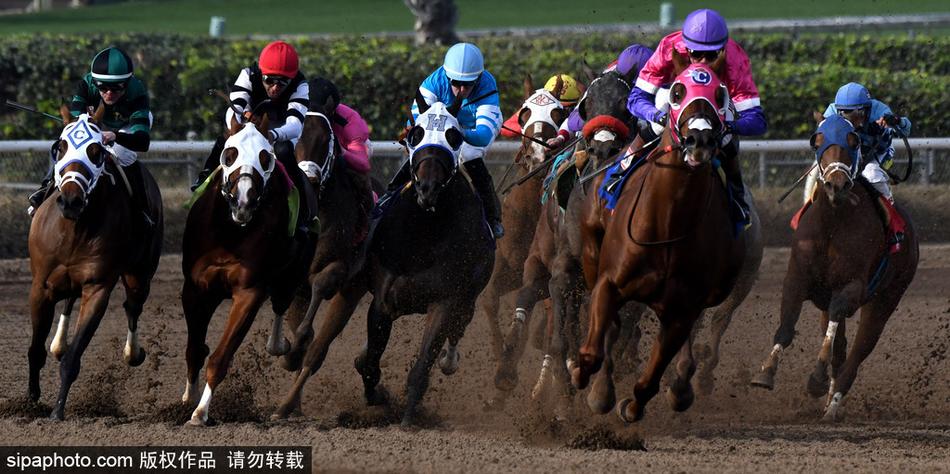 王中王與一馬中特，探尋生肖之魅力——關于生肖屬相的獨特解讀，揭秘生肖魅力，王中王與一馬中特的獨特解讀