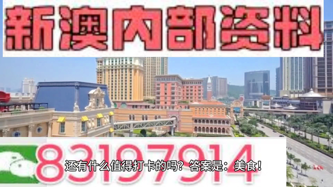 澳門(mén)彩天天免費(fèi)精準(zhǔn)資料，探索與解析，澳門(mén)彩天天免費(fèi)精準(zhǔn)資料解析與探索