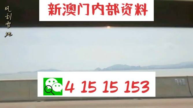 新澳2025最新資料生肖，深度解析與預測展望，新澳2025最新生肖資料深度解析與未來預測展望
