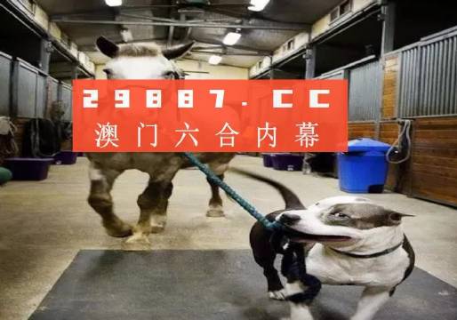 澳門一肖一碼一必中一肖，同舟前進的奧秘與策略，澳門一肖一碼必中策略與前進奧秘，同舟共濟的揭秘與策略