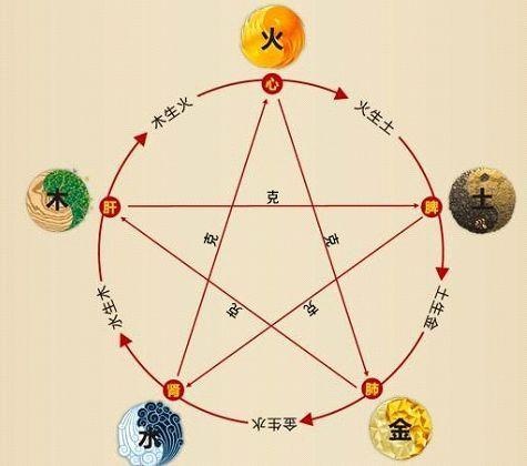 鐵算算盤4887最準資料，揭秘其背后的秘密與優(yōu)勢，揭秘鐵算算盤4887，最準資料背后的秘密與優(yōu)勢