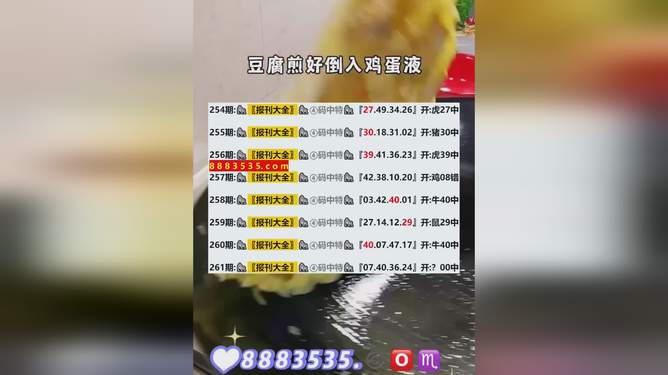 新澳今晚開馬結(jié)果查詢，全方位解析與實時更新，新澳今晚馬術(shù)賽事結(jié)果查詢，全方位解析與實時更新動態(tài)