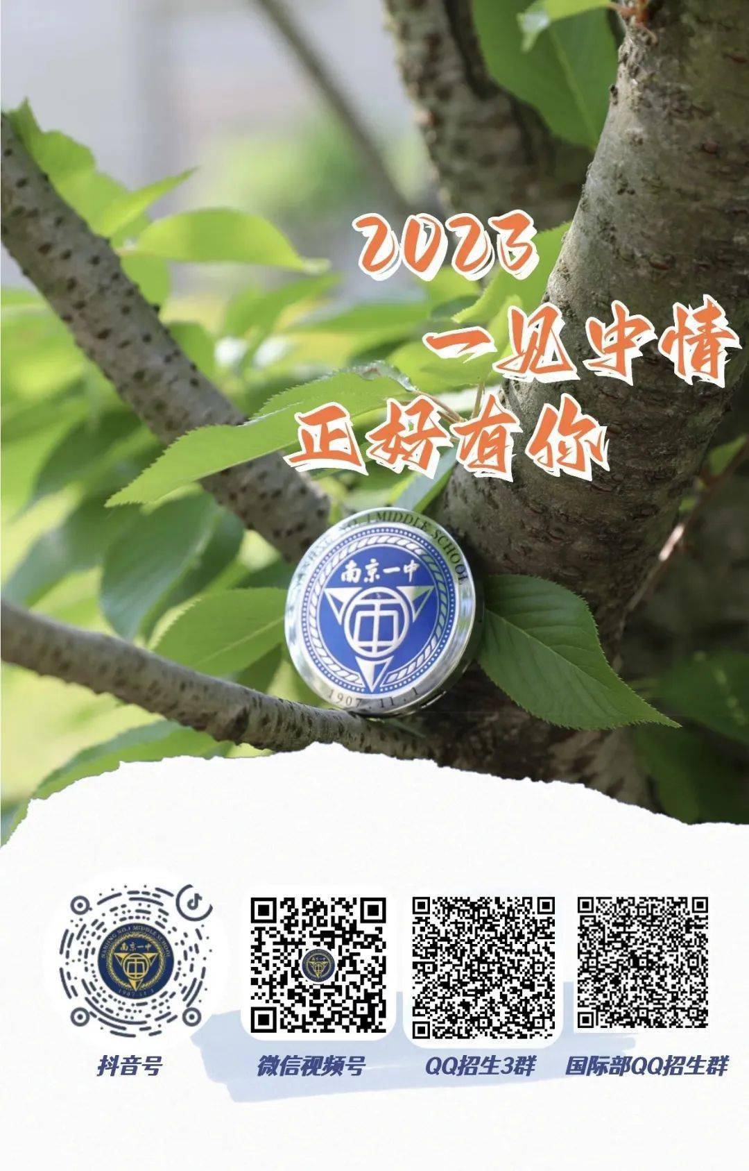 一碼一肖一特一中