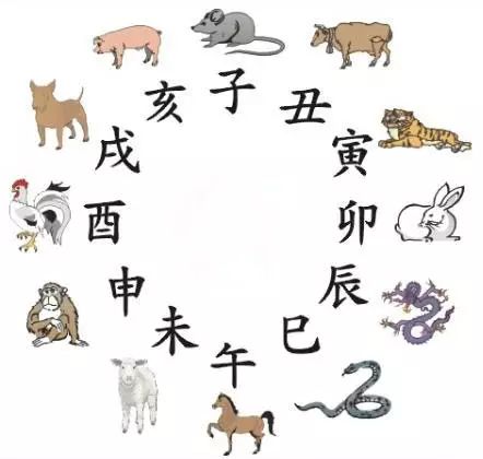澳門天天彩期期精準十二生肖預(yù)測——揭秘彩票秘密，澳門天天彩期期精準十二生肖預(yù)測，揭秘彩票秘密之獨家解析