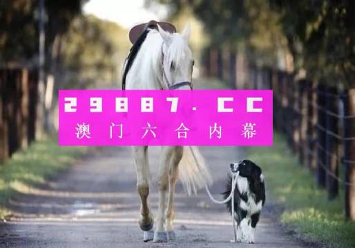 澳門彩的奧秘世界與SEO優(yōu)化策略探討 —— www.04812com的獨家解析，澳門彩奧秘與SEO優(yōu)化策略獨家解析，www.04812com深度探討