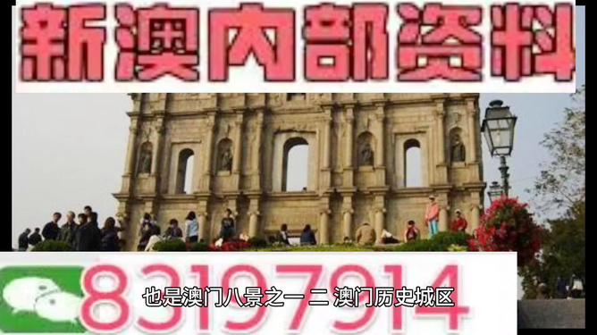 今晚澳門(mén)正版資料大全，全面解析與深度探索，澳門(mén)正版資料大全深度解析與探索之夜
