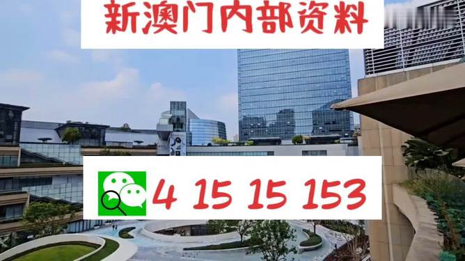 芳草地2025澳門資料，探索未來的奧秘，探索澳門未來奧秘，芳草地資料揭示的藍圖 2025年展望