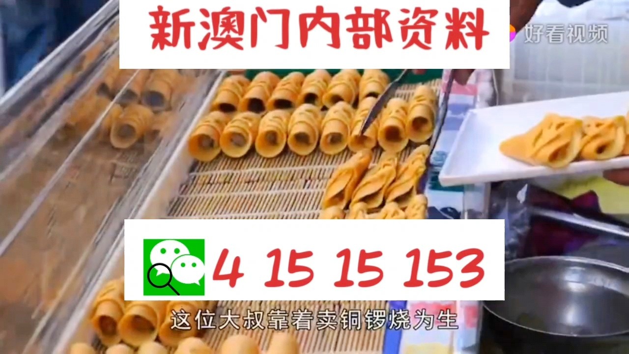 新天天彩免費(fèi)資料大全300期，探索彩票世界的奧秘與機(jī)會(huì)，探索彩票世界奧秘與機(jī)會(huì)的新天天彩免費(fèi)資料大全300期