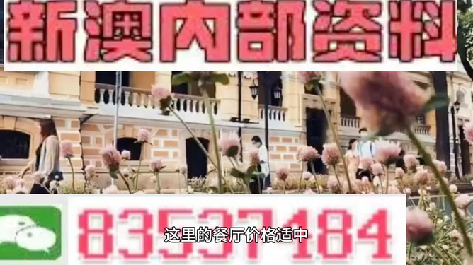 新澳門，探索最精準、最快的信息更新速度，新澳門，追求最快速、精準的信息更新之道