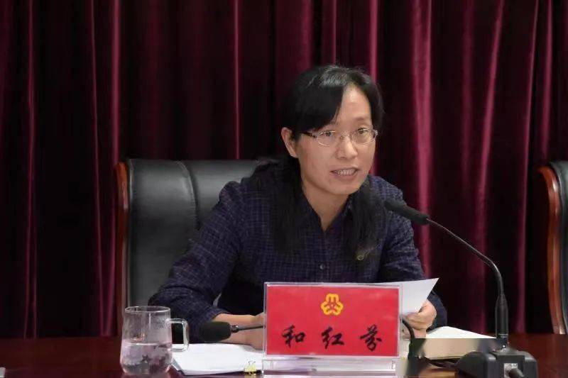 二四六香港期期中的資料解析與SEO優(yōu)化策略，香港期期二四六資料解析與SEO優(yōu)化策略探討