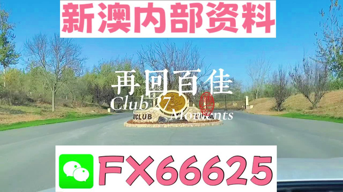 澳彩全年免費(fèi)資料大全——探索澳彩的世界與免費(fèi)資料資源，澳彩全年免費(fèi)資料大全，澳彩世界與免費(fèi)資源探索