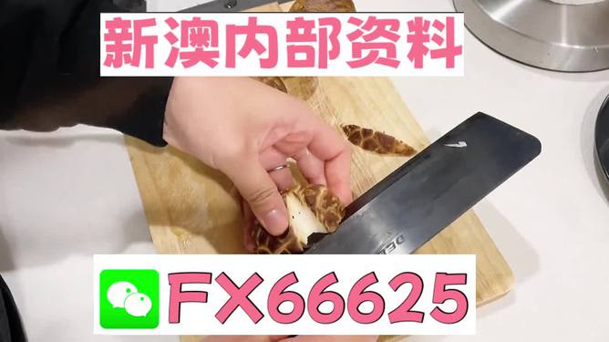 澳門九點(diǎn)半9點(diǎn)半網(wǎng)站——探索其魅力與優(yōu)勢(shì)，澳門九點(diǎn)半網(wǎng)站，魅力與優(yōu)勢(shì)探索