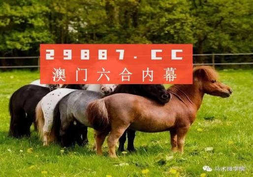 一馬中特內(nèi)部精準(zhǔn)資料免費(fèi)大公開，揭秘行業(yè)秘密，助力個(gè)人成長(zhǎng)，揭秘行業(yè)秘密，一馬中特內(nèi)部精準(zhǔn)資料大公開，助力個(gè)人成長(zhǎng)免費(fèi)獲取