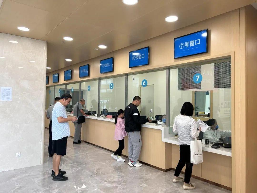 新門(mén)內(nèi)部資料免費(fèi)下載——探索與揭秘，新門(mén)內(nèi)部資料揭秘，免費(fèi)下載與探索之旅