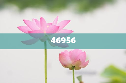 新奧集團，邁向2025，天天開好彩的愿景與挑戰(zhàn)，新奧集團邁向2025，實現(xiàn)天天開好彩的愿景與挑戰(zhàn)