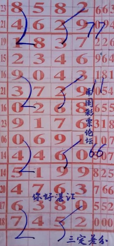 三字爆特肖，揭秘生肖魅力與SEO優(yōu)化策略，揭秘生肖魅力與SEO優(yōu)化策略，三字關(guān)鍵詞特肖分析