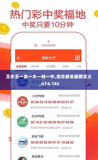 王中王精選一肖