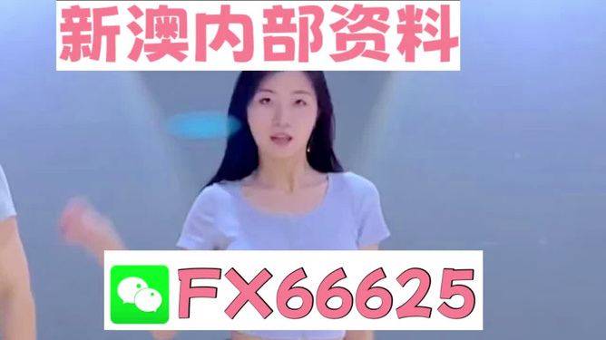 新澳門精準資料大全——管家婆料解析與探索，澳門精準資料大全，管家婆料解析與深度探索