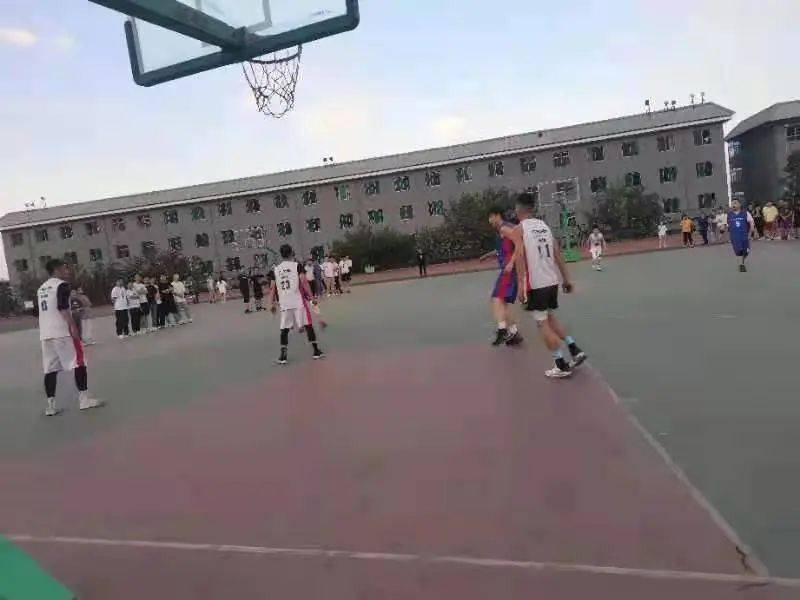 澳門二四六天下彩天天免費大全——全面解析澳門彩票文化，澳門彩票文化全面解析，二四六天下彩免費大全