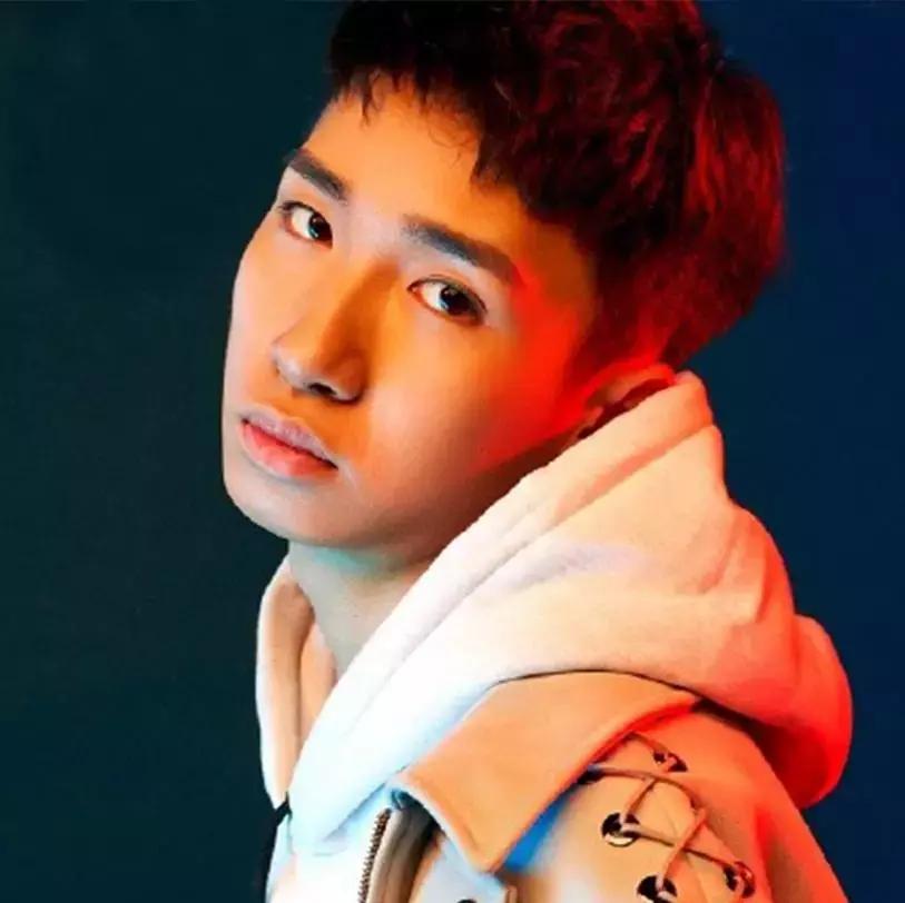 華晨宇介紹資料大全，華晨宇介紹資料全解析