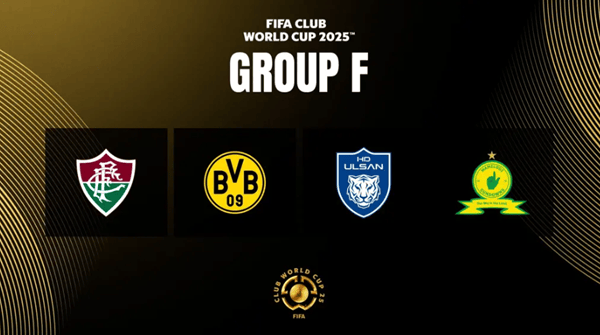 2025新澳正版資料精準(zhǔn)解析與預(yù)測，2025新澳正版資料精準(zhǔn)解析與趨勢預(yù)測