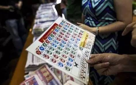 香港王中王開獎(jiǎng)結(jié)果查詢，今晚開獎(jiǎng)盛況一覽，香港王中王開獎(jiǎng)結(jié)果查詢，今晚盛況揭曉，最新開獎(jiǎng)信息一覽