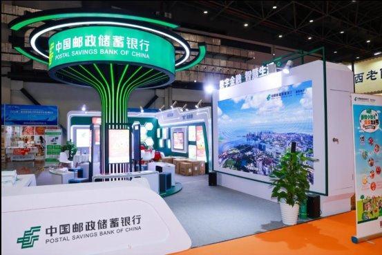 新澳2025今晚開獎(jiǎng)資料詳解，新澳2025今晚開獎(jiǎng)資料全面解析