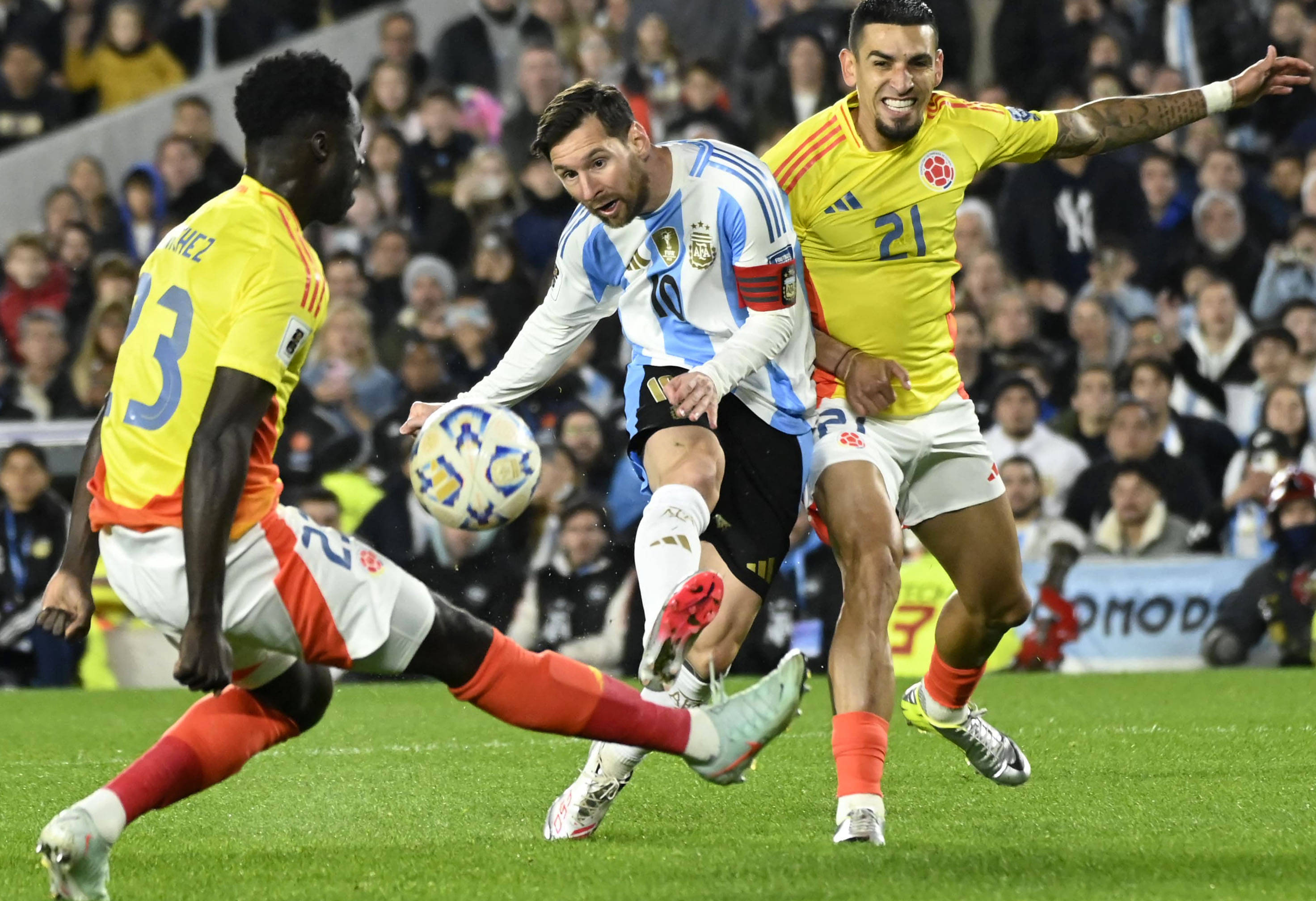 王中王一肖，揭秘碼一特一中的奧秘，揭秘王中王一肖特一中奧秘的真相