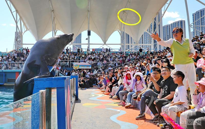 新澳2025今晚開獎結(jié)果揭曉，期待與驚喜交織的時刻，新澳2025今晚開獎結(jié)果揭曉，期待與驚喜的時刻來臨