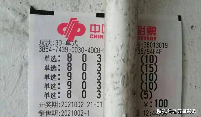 揭秘王中王平特一肖，背后的故事與奧秘，揭秘王中王平特一肖背后的故事與奧秘探秘